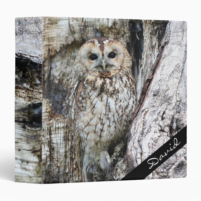Owl Binder (Front/Spine)