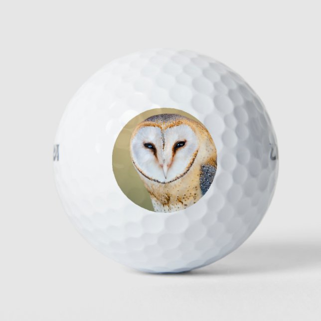 Owl Bird Animal Golfer Green Destiny's Destiny Golf Balls (Front)