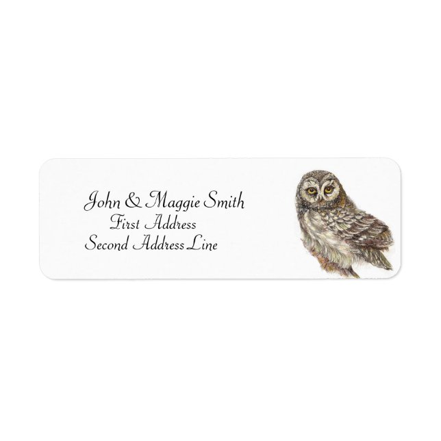 Owl, Bird Collection (Front)