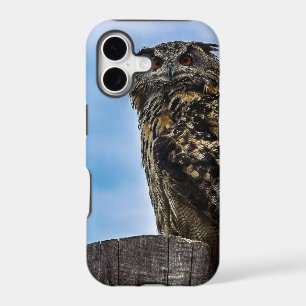 Owl Bird Feathers Animal Nature Destiny Peace Love