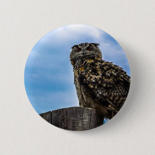 Owl Bird Feathers Animal Nature Destiny Peace Love 2 Inch Round Button