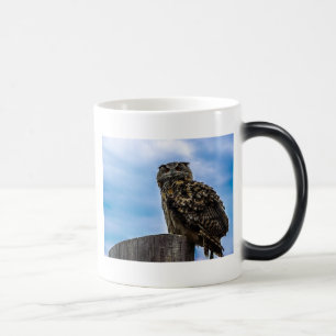 Owl Bird Feathers Animal Nature Destiny Peace Love Magic Mug