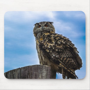 Owl Bird Feathers Animal Nature Destiny Peace Love Mouse Pad