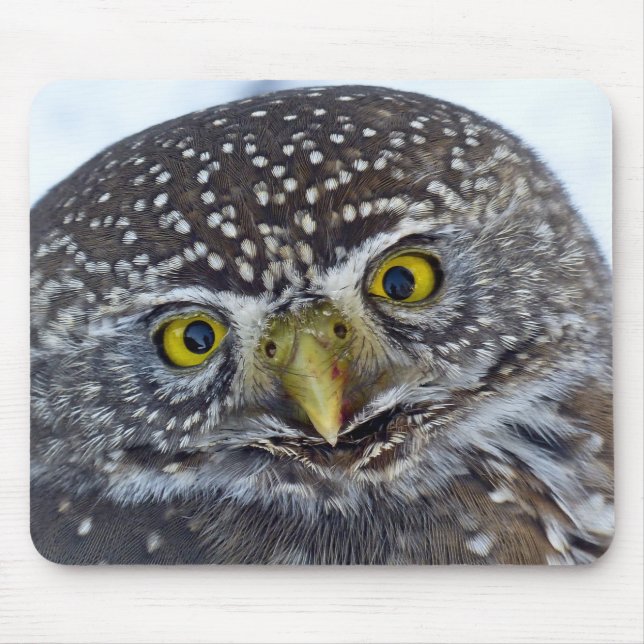 owl, bird, head mouse pad (Front)