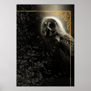 Owl, Bird of prey, Bird Poster