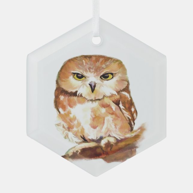 Owl Bird with Attitude  Wildlife Nature Art  Glass Ornament (Front)