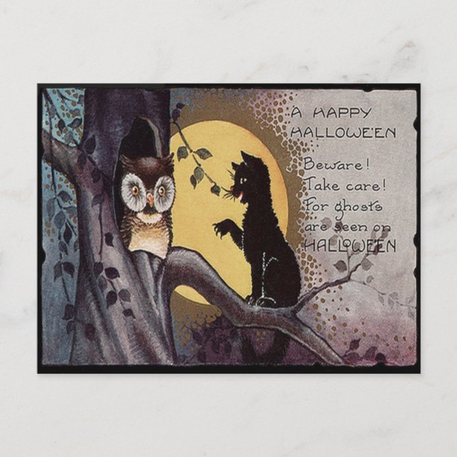 Owl Black Cat Full Moon Tree Night Postcard (Front)
