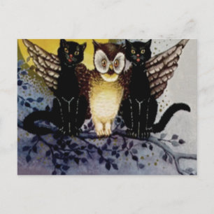 Owl Black Cat Full Moon Tree Night Postcard