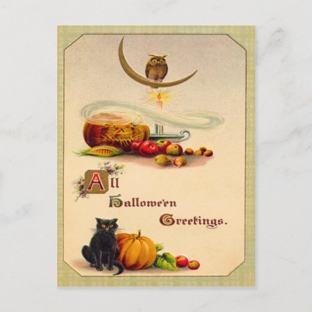Owl Black Pumpkin Jack O' Lantern Postcard (Front)