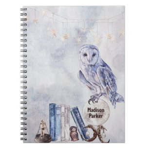 Owl & Books