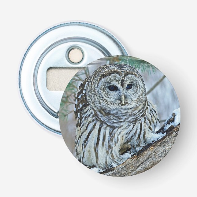 Owl Bottle Opener (Front)