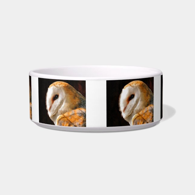 OWL BOWL (Front)