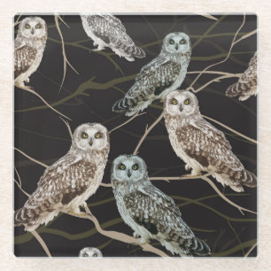 Owl Branch: Solitary Bird Perch. Glass Coaster