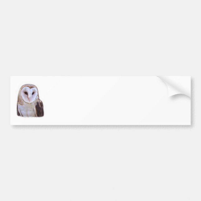 owl bumper sticker (Front)