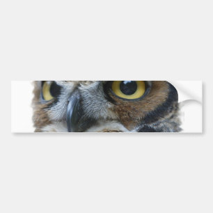 Owl Bumper Sticker