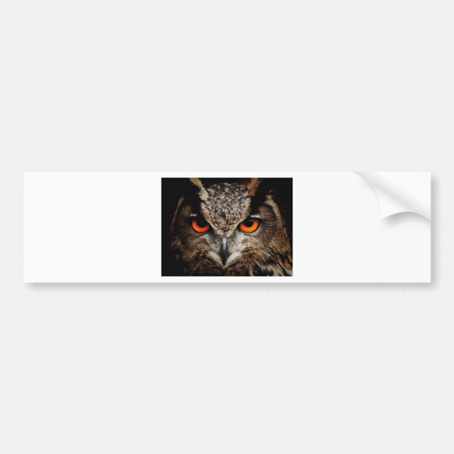 Owl Bumper Sticker (Front)