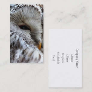OWL BUSINESS CARD