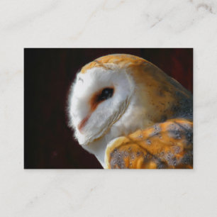 OWL BUSINESS CARD