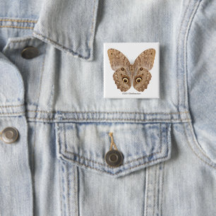 Owl Butterfly 2 Inch Square Button