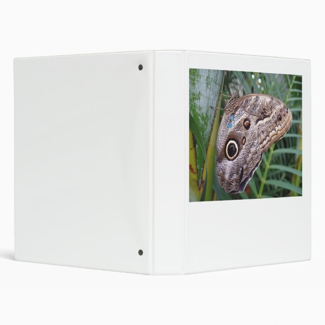 Owl Butterfly Binder (Background)