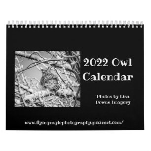 Owl Calendar 2022