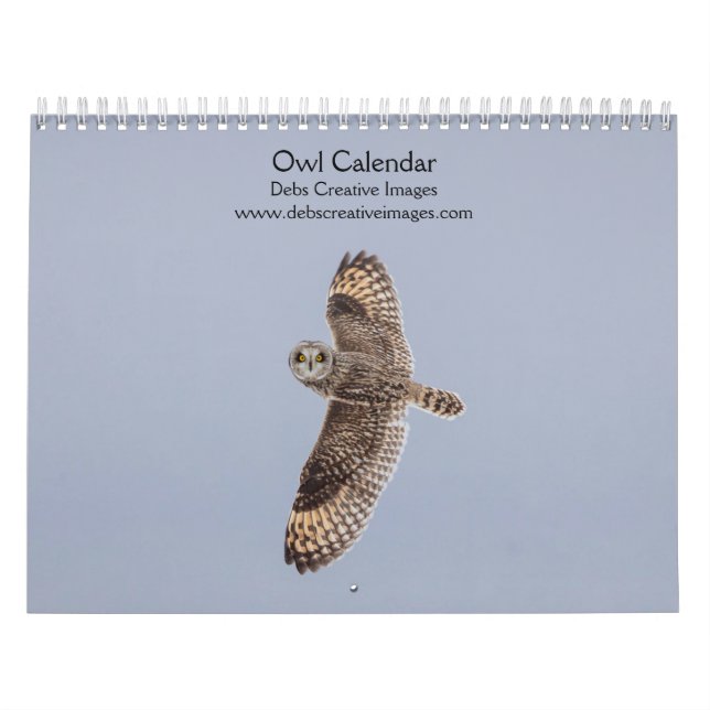 Owl Calendar 2026 (Cover)
