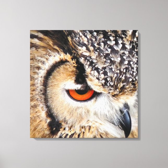 OWL CANVAS PRINT (Front)