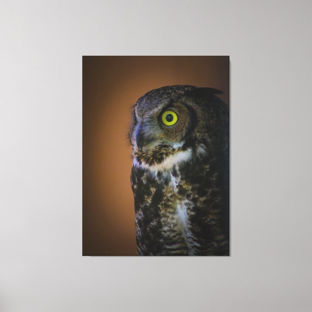 owl  canvas print (Front)