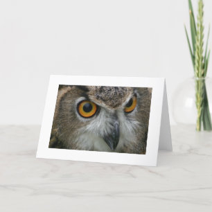 Owl Card