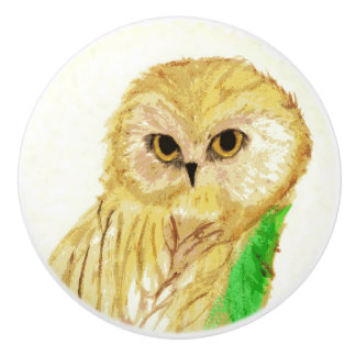 Owl Ceramic Knob