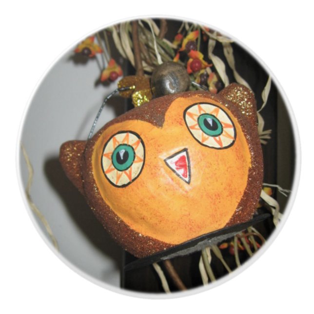Owl Ceramic Knob (Front)