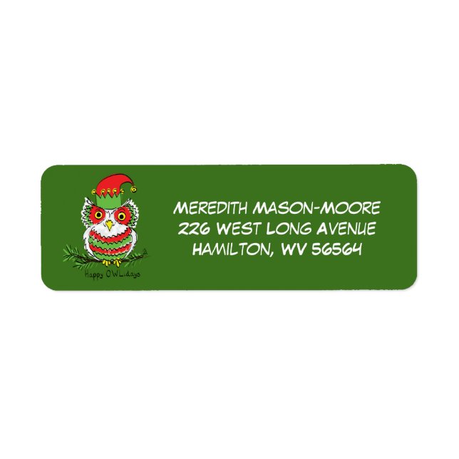 Owl Christmas Funny (Front)