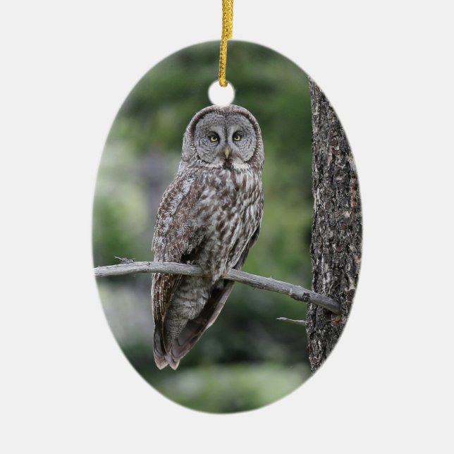 Owl Christmas Ornament - Great Grey Owl (Front)