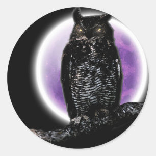 Owl Classic Round Sticker
