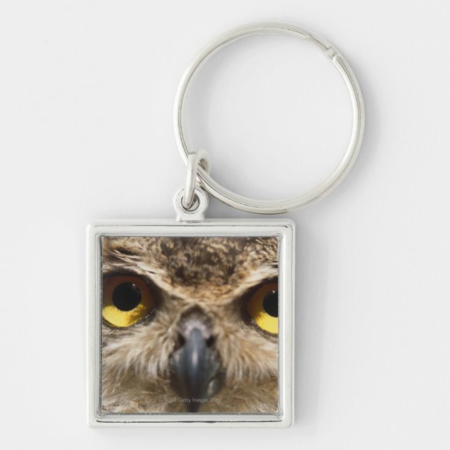 Owl Close-Up Keychain (Front)