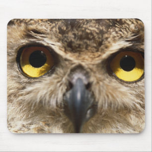 Owl Close-Up Mouse Pad