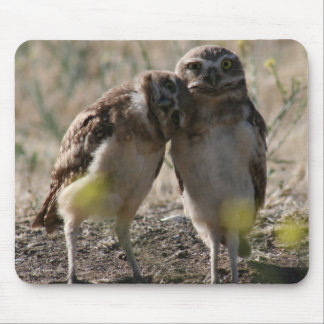 Owl couple mouse pad