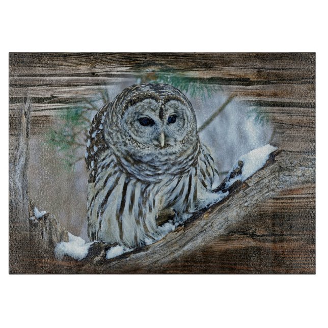 Owl Cutting Board (Front)