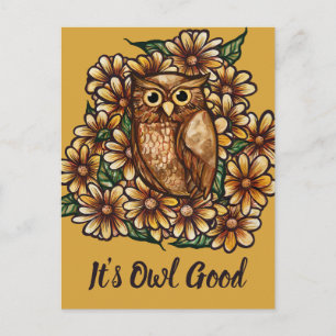 Owl daisies postcard