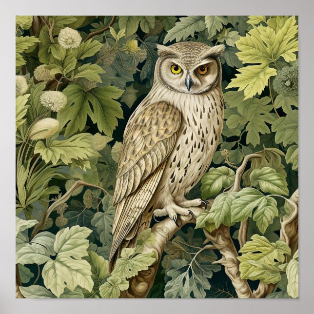 Owl Decorative Painting  Poster (Front)