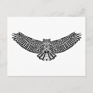 Owl Doodle Postcard