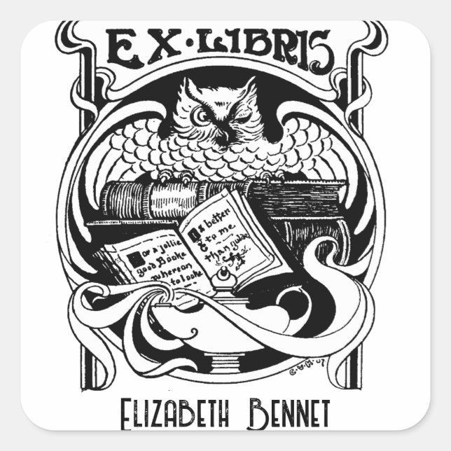 Owl Ex Libris bookplate Square Sticker (Front)