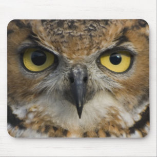 Owl Eyes Mouse Pad
