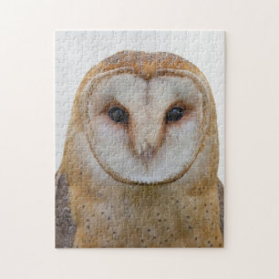 Owl Face Bird Wildlife Jigsaw Puzzle