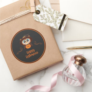 Owl/Fall/Autumn/Halloween/pumpkin Classic Round Sticker