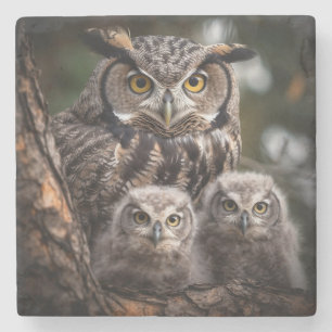 Owl Family Stone Coaster