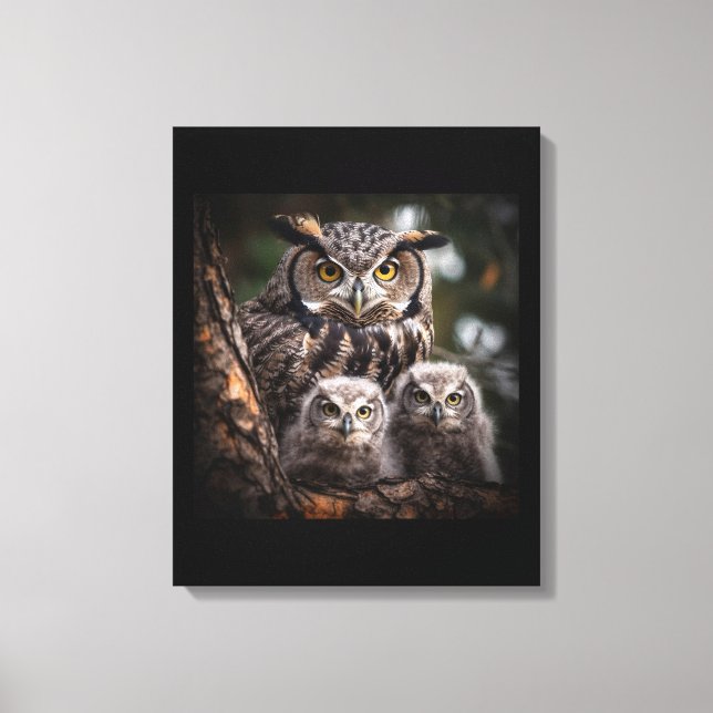Owl Family Stretched Canvas Print (Front)