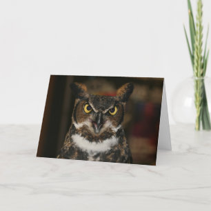 Owl Father's Day Card