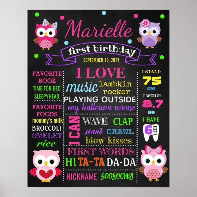 Owl First 1st Birthday chalkboard sign chalk board (Front)
