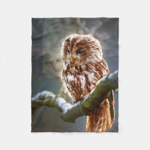 Owl Fleece Blanket